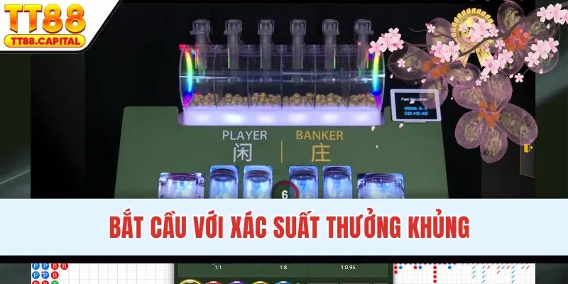 Bắt cầu với xác suất trúng thưởng khủng